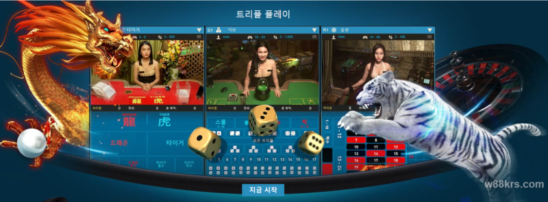 다이사이 전략1