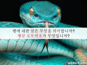 뱀에 대한 꿈은 무엇을 의미합니까? 뱀꿈 로또번호가 무엇입니까?